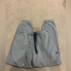 Patagonia gray sweatpants